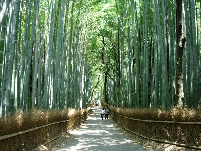 親戚は一同は帰路へ。<br /><br />私たち夫婦は夕方まで再び京都観光。<br /><br /><br />まずはリベンジ嵐山の竹林