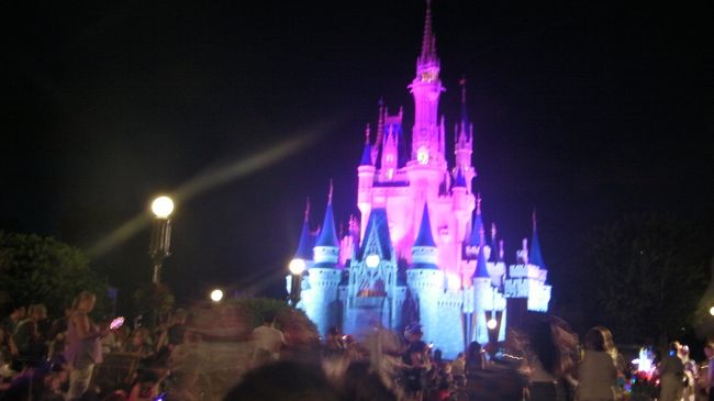 その5。周りにはパレードやウィシュを見に来た人達でいっぱいです。