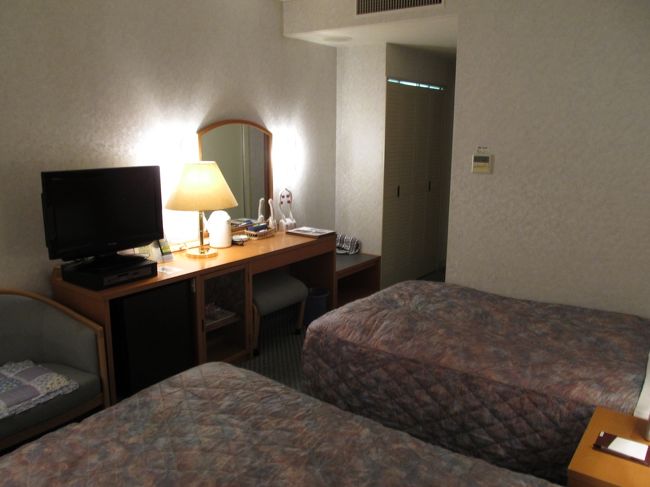 上の写真とは反対側からの部屋の様子。