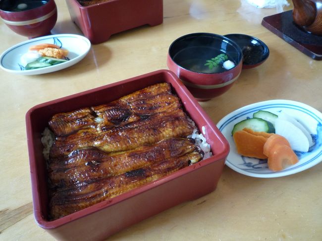 さて、こちらうな重。<br /><br />こちらも、もちろん美味しかったです☆<br />（正直、美味しいのは記憶してるのですがどう美味しいかは思い出せず（＾＾；）<br /><br /><br />帰りは風祭駅へ。<br /><br />駅の手前に鈴廣のかまぼこ博物館へ。<br /><br />早々にお土産を物色。<br /><br />両方の実家にかまぼこセットを贈りました。<br />