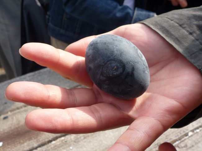 定番の温泉卵。<br />