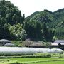 大分で温泉と山と八幡神宮の総本宮 宇佐神宮へ