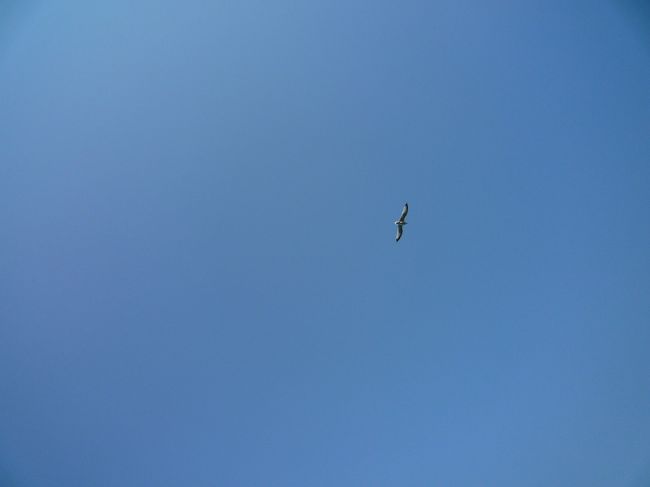 雲ひとつ無い青い空！