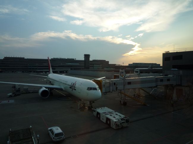 今回もＪＬ便で。<br />せっせこせっせこマイルを貯めてハワイに行くぞ（笑）！