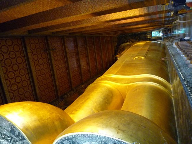 お背中もおっきいなー。