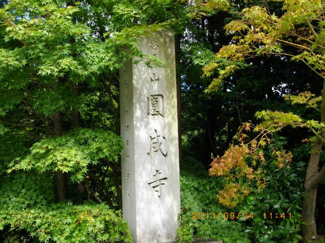 円成寺まで来ました。ここで一休み。