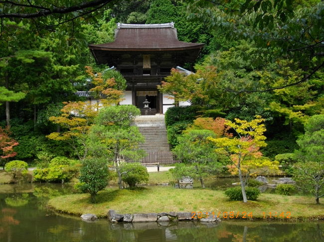 歴史のありそうな雰囲気です。庭園と山門です。