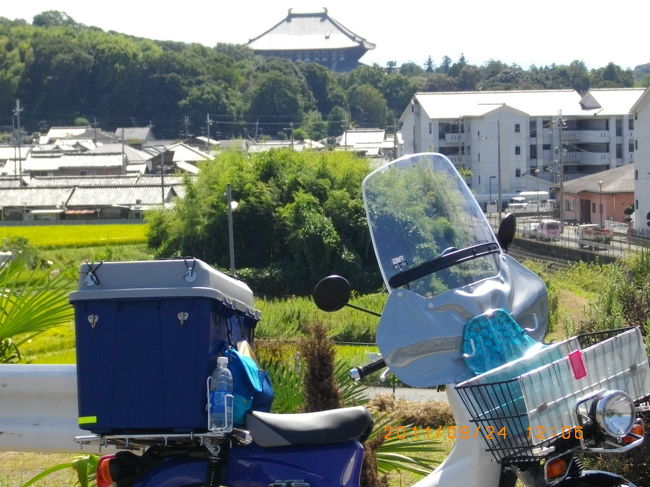 東大寺の甍が裏側から見えてきました。