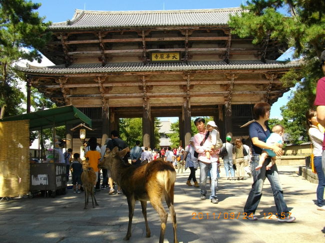 なむでむんと鹿。