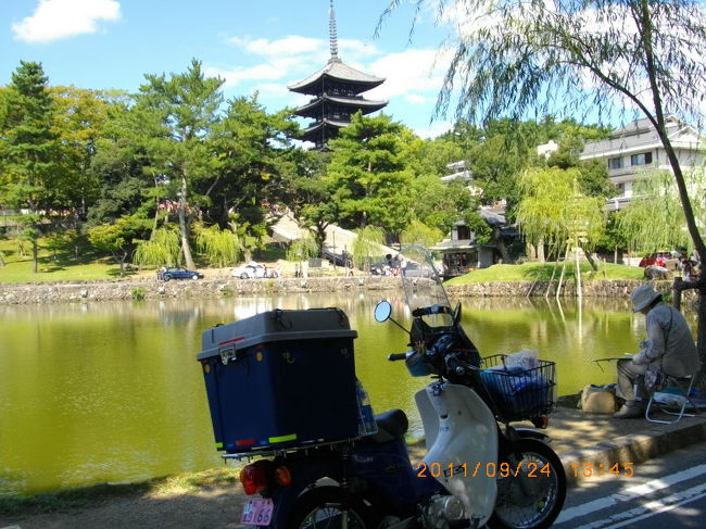 お決まりのシーン。興福寺五重塔と猿沢の池とカブ。