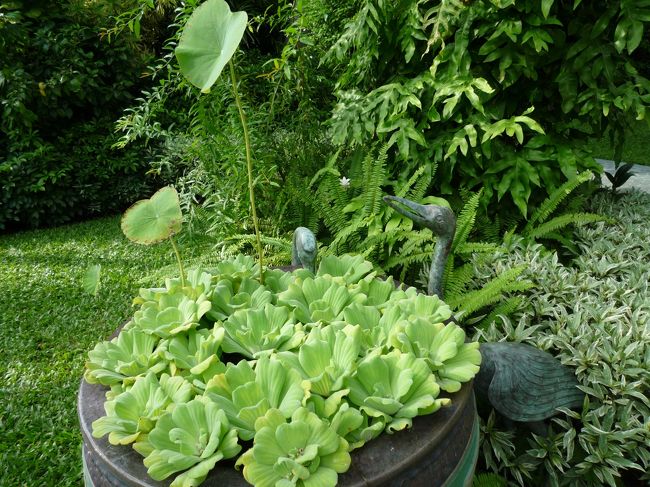 ステキなティータイムを満喫したら、お庭へ。