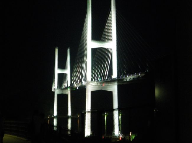 長崎港のゲートの役目である女神大橋。とても橋脚が長く、ライトアップできれいです。