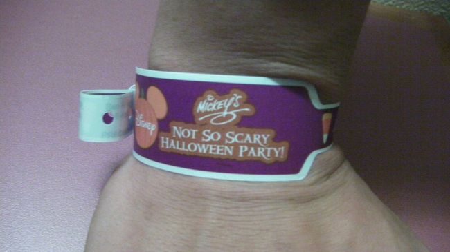 ここで一つ注意！！<br />特別なイベントに参加するゲストはこのようなリストバンドを付けなければなりません。これがないとパーク内のいたるでキャストに呼び止められて一般のゲストと同じように退園するように促されます。