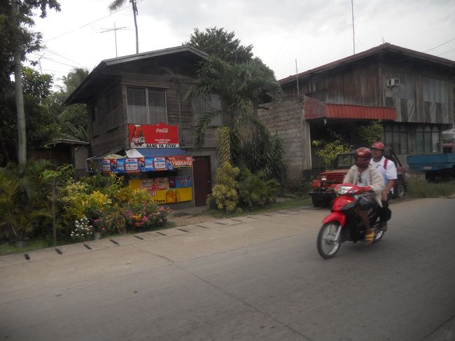 ボホール島に到着！<br />ここからは、うちら夫婦二人だけでした。<br />ガイドさんは、渡辺えり似の方でとても話が上手。<br />何もない島というように、本当にのんびりしたところ。牛や山羊がうろうろ。<br />島で、怖いのは蛇と犬だと言ってました。<br />犬は、狂犬病にかかっているのが多いらしい。絶対、触らないでと言われました。