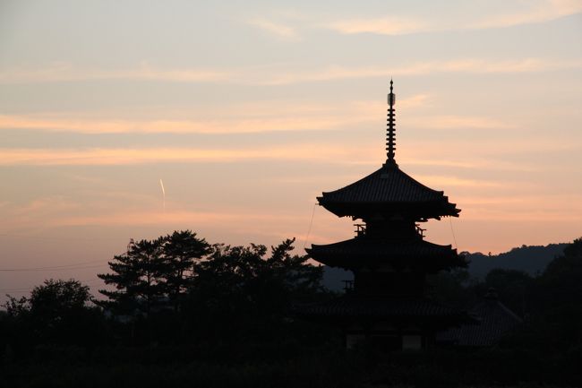 太陽が沈むと急に寒くなるので、防寒対策はしていきましょう。<br />17時50分くらいの最終バスに乗って近鉄郡山まで帰りました。