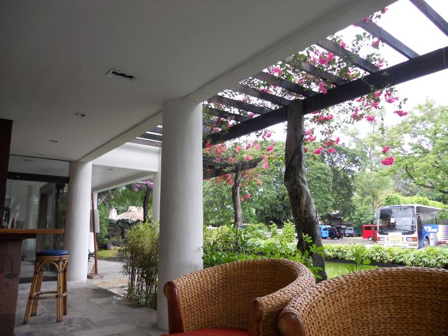 ホテルに戻り、スパの予約をしました。<br />ここは、スパの前にあるジュースバー。アイスコーヒーとパイナップルジュースを飲みました。美味しかった！<br />ホテル内の、アムマスパでは、ヒロットというフィリピンの特別なマッサージを二人で受けました。<br />90分で一人2500ﾍﾟｿ。外で受ければ、もっと安いと思うけど、とてもよかったです。<br />あまりマッサージを受けたことがない夫は、かなり痛かったみたい。私は、快適でした。（ちょっと痛かったけど）