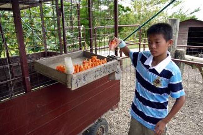 １００円でニンジンを買って