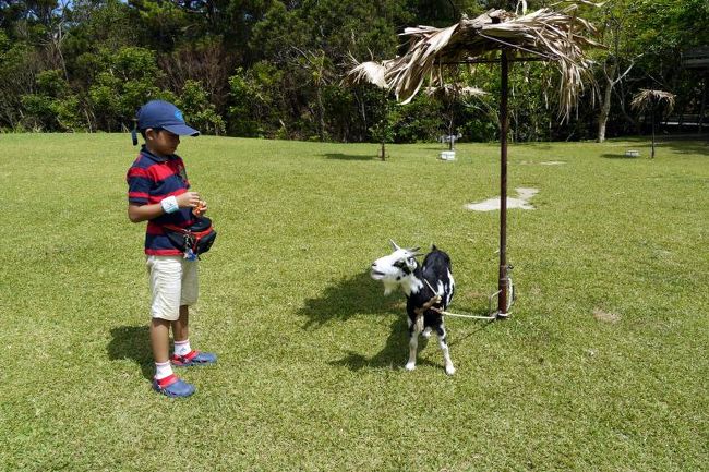 もっとニンジンを頂戴とねだります