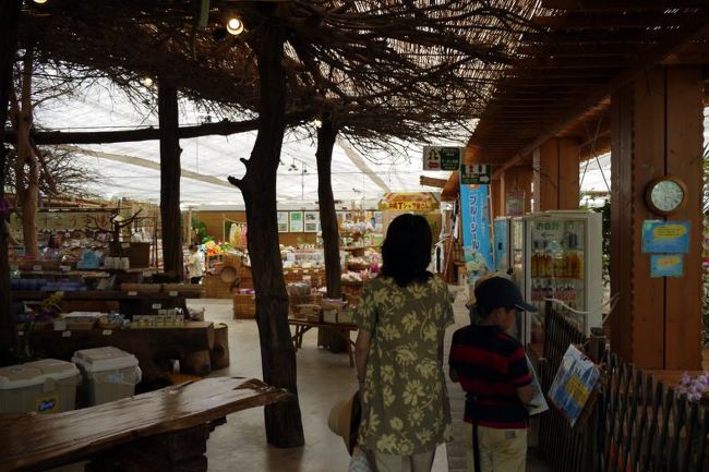 ブルーシールアイスクリームを購入します