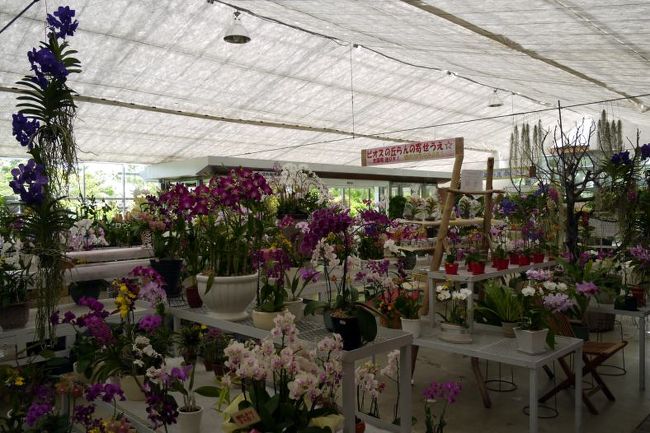 ガーデンセンターの写真を撮りました