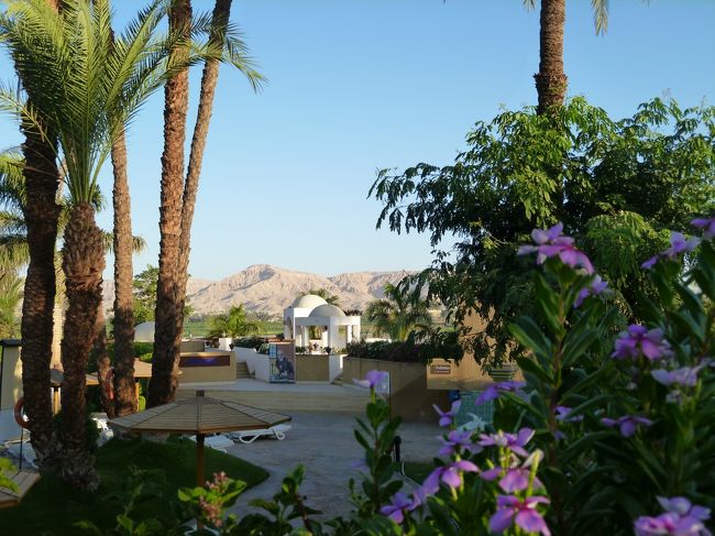 ホテルのレストランで朝食。<br />レストランからはプール越しにナイル川とその先の砂漠が見える。<br />日差しも強いからか、とっても鮮やか。<br />エジプトに来たことを実感！