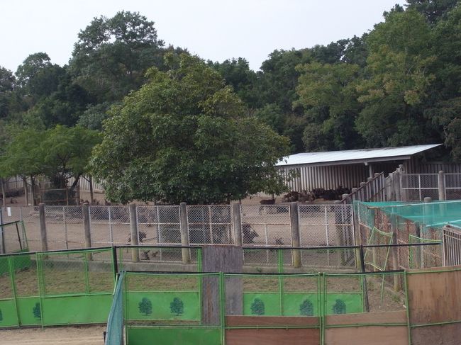 会場の後ろの鹿苑には、これからターゲットになる鹿たちが。