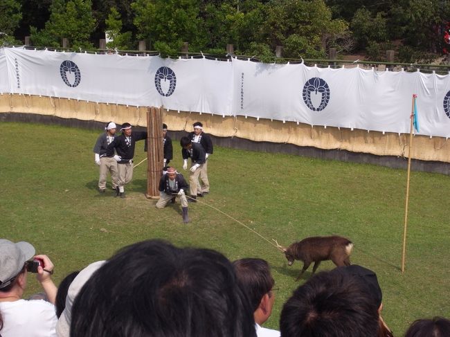 まず１頭目、つかまりました。<br />