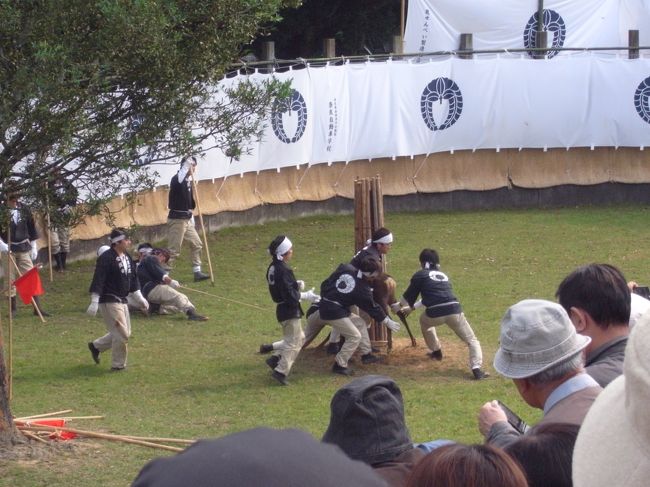 さ、別の鹿も。