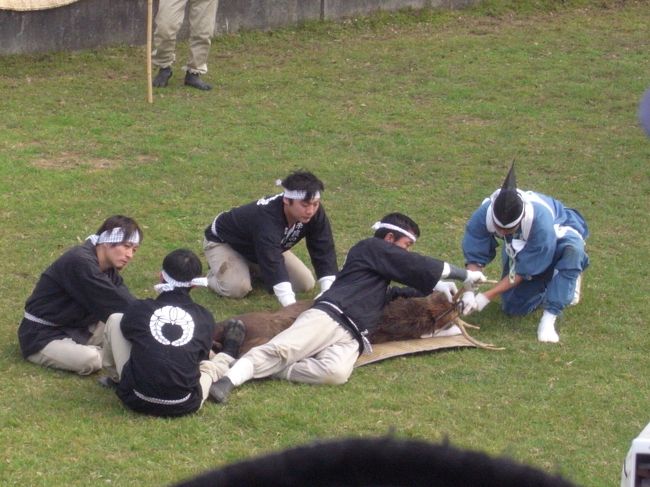 がっつり、ぎこぎこされてます。