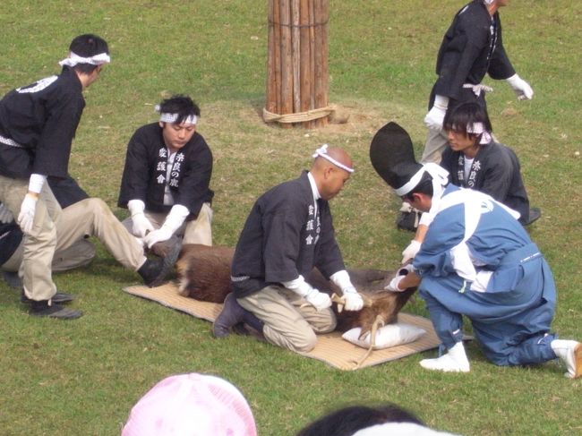 枕付きのむしろに寝かされて、まずお水を1杯飲まされてるところです。<br />こんな状態で水飲めって言われてもね・・・