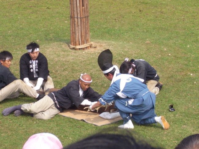 暴れないように押さえつけられてます。