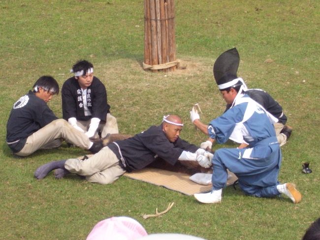 あー、2本とも切られちゃった〜