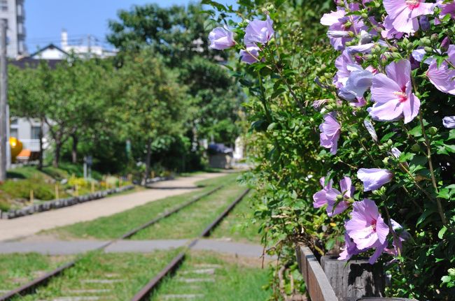 大倉山から約一時間で小樽到着。<br />写真は廃線となった手宮線。<br /><br />散策路のようになっており、風情があります。<br />線路の上を歩くって意外と非日常で楽しかった。