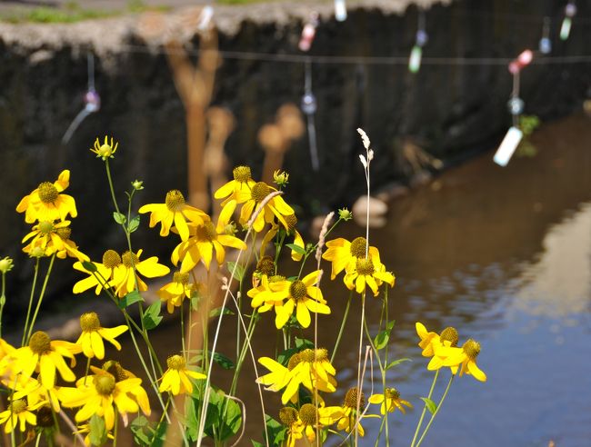 目にも涼しげ。