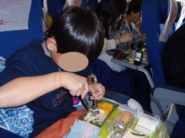 一生懸命機内食を食べております。<br />ＫＬＭの機内食は結構食べられます。ビールはもちろんハイネケン！