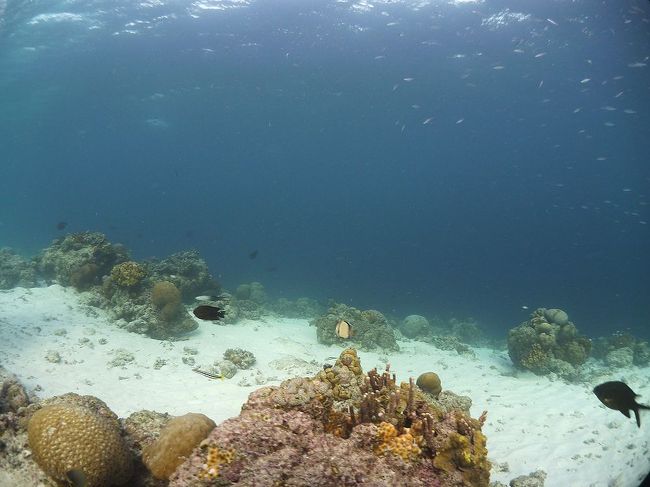 澄切った感じがすがすがしい海。