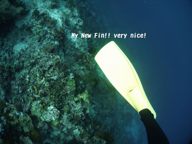 誕生日にくれた新しいワープフィン！とても使いやすいです☆<br />ありがとう☆ノリピー！