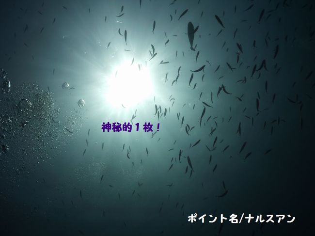 神秘的な太陽を見ると生きててよかったって思うのです。