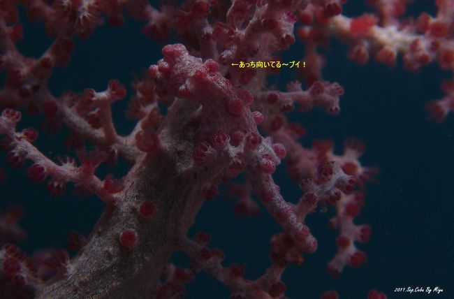 うーむ・・いまいち