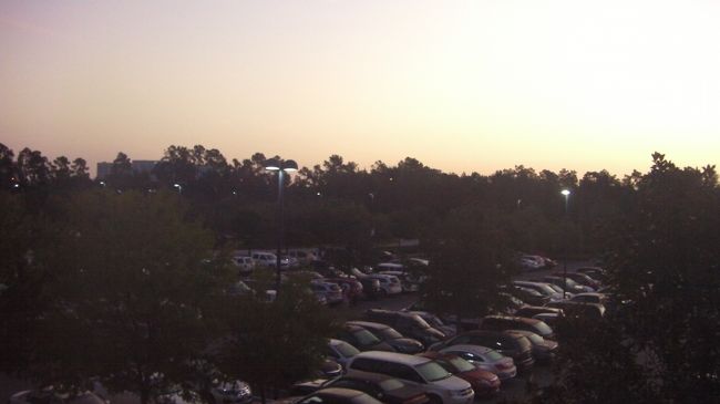 二日目の朝。今からアニマルキングダム内にあるキャラクターブレックファーストのレストラン「タスカーハウス」に行ってきます。