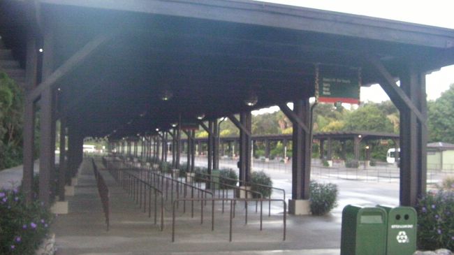 アニマルキングダムから各パークやホテルに行くシャトルバスの乗り場。パークから少し離れたところにあります。