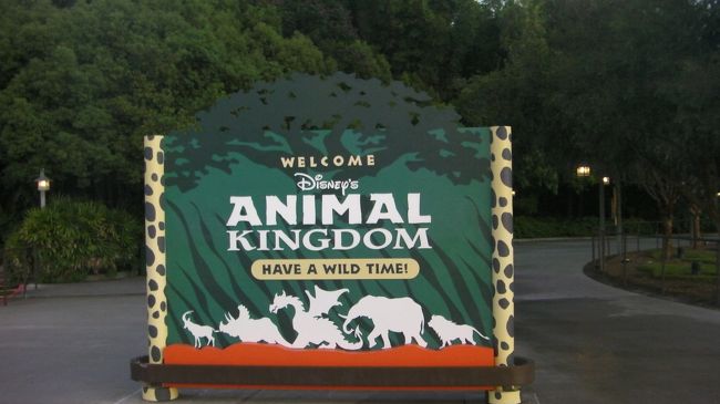 アニマルキングダムへ来ました。