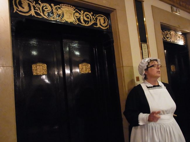 豪華なエレベーター。