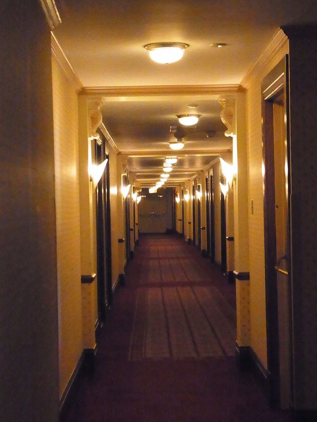 ホテルの中は建て増しでかなり複雑です。宿泊客も迷うらしい。<br />この廊下の証明は設計の間違いで、曲がって付いているそうです。<br />面白いのは、このホテルの屋上でミツバチ、鶏を飼っていることです。<br />蜜は売店で販売しているそうです。