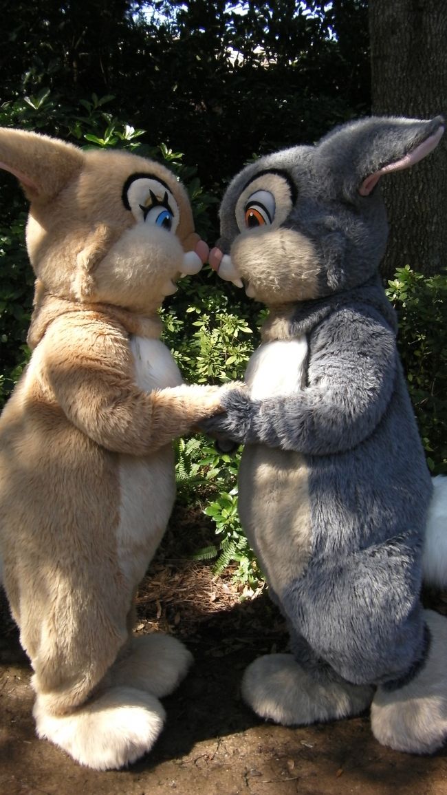 ラブラブな二匹。