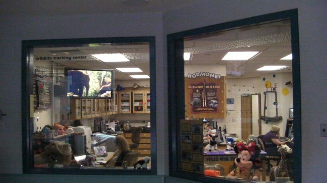 日々ここで動物の保護に関する研究がなされています。