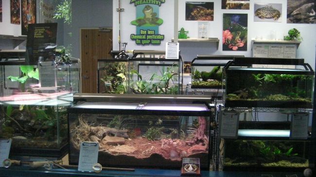 カエルなどの両生類を保護している部屋。