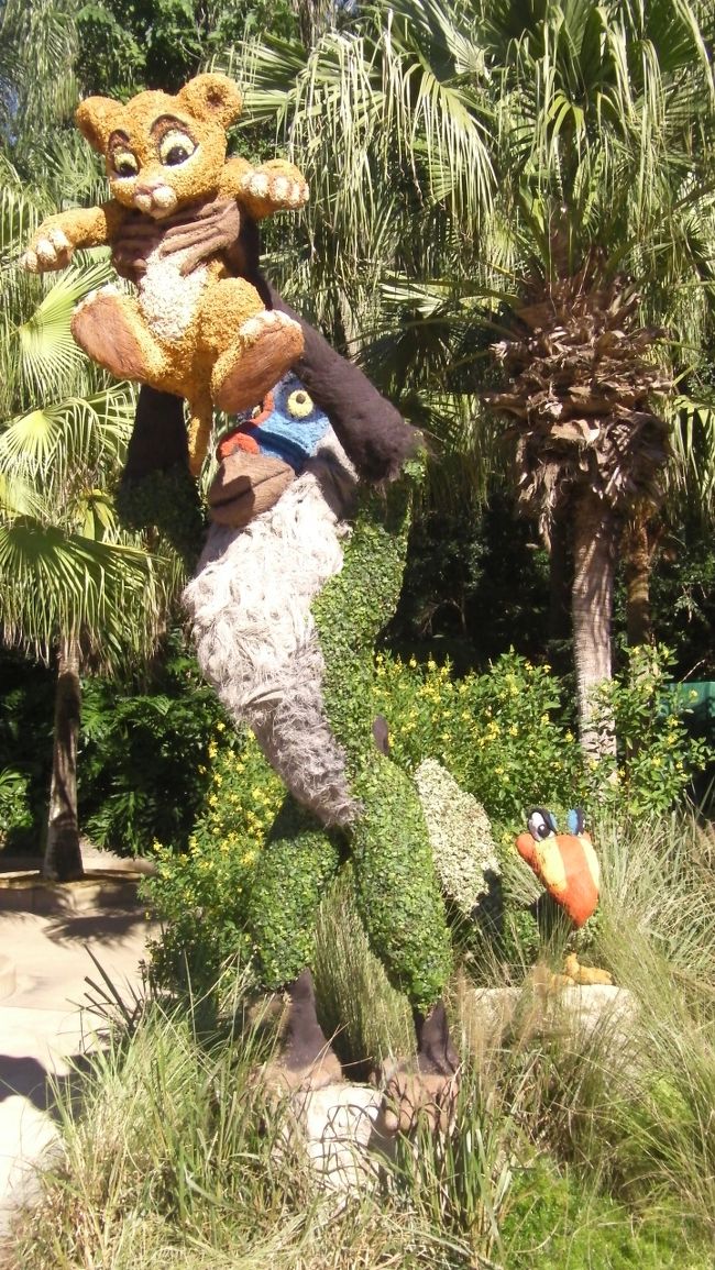 本日のアニマルキングダムは午後５時で閉園。楽しかった一日でした。（※ほかのパークより閉園時間が早いので注意が必要です。）