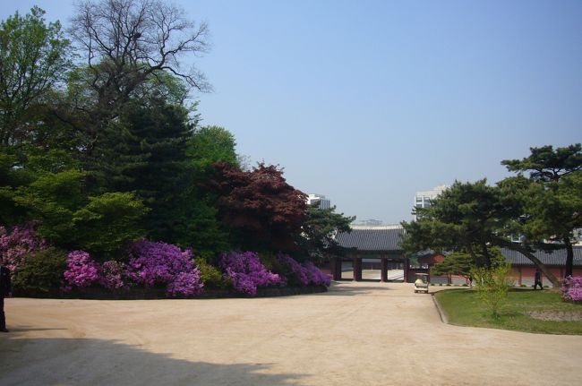 とても綺麗です。