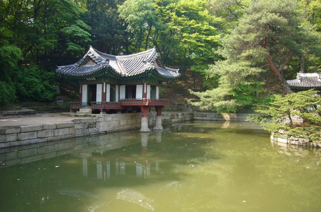 池につきました！！